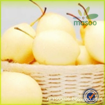 Golden Pear,Huang Jin Pear,Fresh Pear, High Quality Huangjin Pear,Golden Pear,Fresh Pear